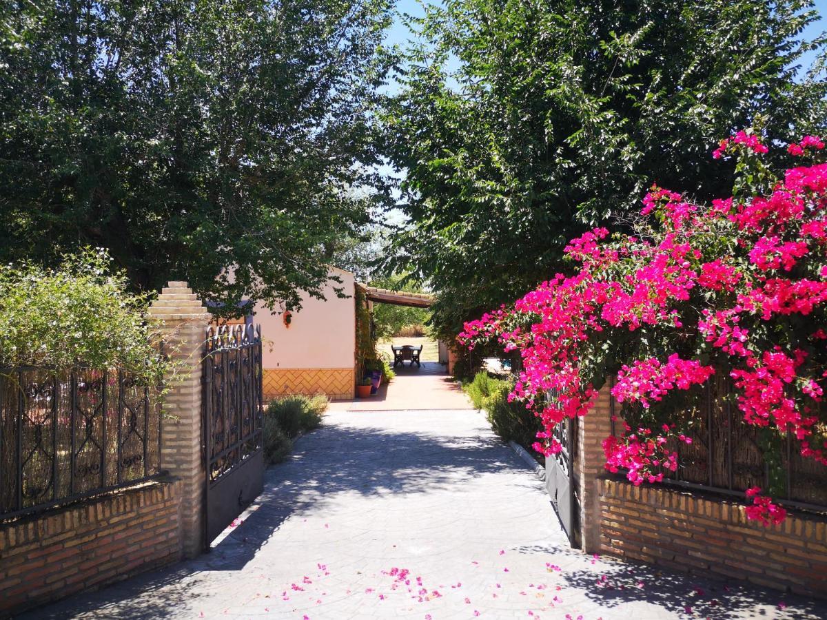 Casa Los Jinetes كارمونا المظهر الخارجي الصورة